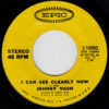 JOHNNY NASH / I CAN SEE CLEARLY NOW / HOW GOOD IT IS / 7" /