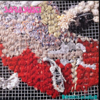 SARASVATI / DENDROCACAGLIA / 12" /