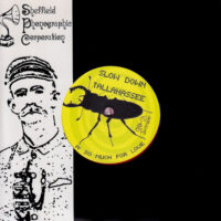 SLOW DOWN TALLAHASSEE / SO MUCH FOR LOVE / 7" /