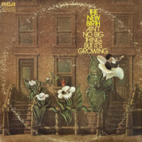 THE NEW BIRTH / AIN'T NO BIG THING, BUT IT'S GROWING / LP /