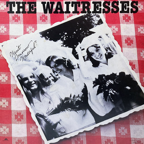 THE WAITRESSES LP JPN