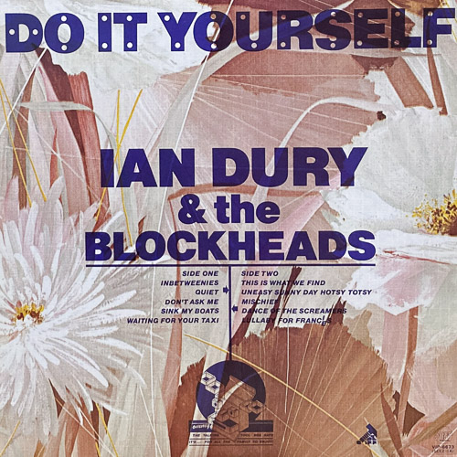 IAN DURY DO IT YOURSELF