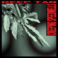 DEEP TAN / CREEPING SPEEDWELLS / 12" /