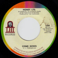 HONEY LTD. / COME DOWN / TOMORROW YOUR HEART / 7" /