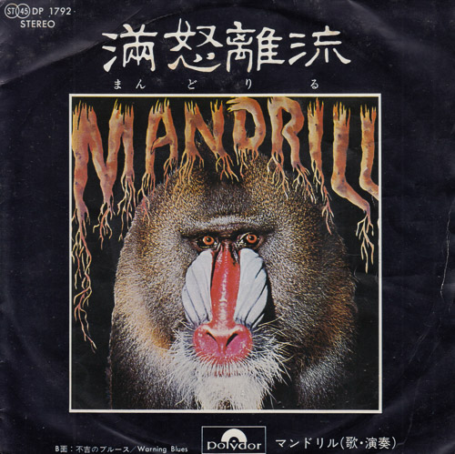 MANDRILL JPN 7