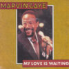 MARVIN GAYE / MY LOVE IS WAITING / 7" /