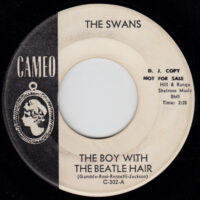 THE SWANS / THE BOY WITH THE BEATLE HAIR / PLEASE HURRY HOME / 7" /