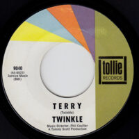 TWINKLE / TERRY / THE BOY OF MY DREAMS / 7" /