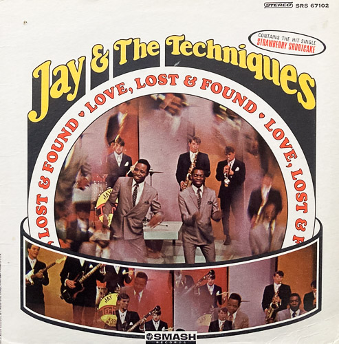 JAY THE TECHNIQUES LP