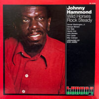 JOHNNY HAMMOND / WILD HORSES ROCK STEADY / LP /