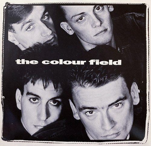 THE COLOUR FIELD 12