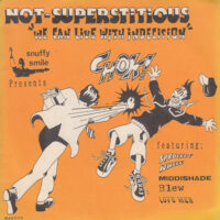 V.A. / NOT-SUPERSTITIOUS "WE CAN LIVE WITH INDECISION" / 7" /