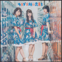 NEGICCO / カリプソ娘に花束を / 7" /