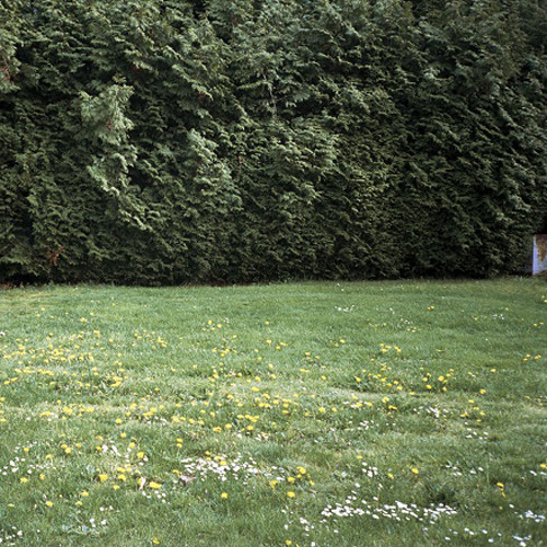 mitsume ミツメ LP A Long Day 限定アナログ盤 レア未開封 銀杏BOYZ ミツメ Mitsume A Long Day LP ミツメ - A Long Day