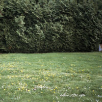 ミツメ mitsume / GHOSTS / LP /