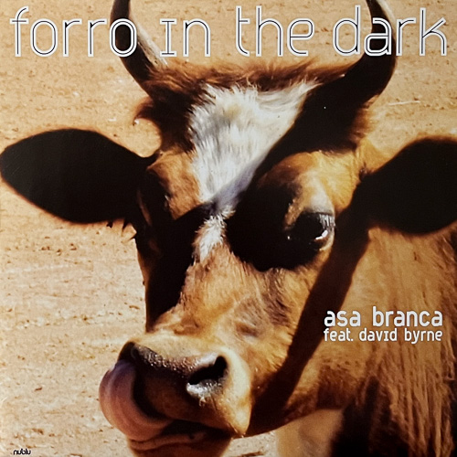 FORRO IN THE DARK / ASA BRANCA FEAT. DAVID BYRNE / 12" / 1 FORRO IN THE DARK / ASA BRANCA FEAT. DAVID BYRNE / 12" /