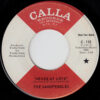 THE SANDPEBBLES / NEVER MY LOVE / WHO KNOWS WHAT WILL BE TOMORROW / 7" /