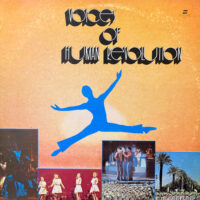 V.A. / VOICES OF HUMAN REVOLUTION / 2LP /