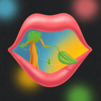 BRIGT / TENDERLY / 7" /