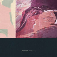 SLOW BLOOMER / NUDITY / LP /