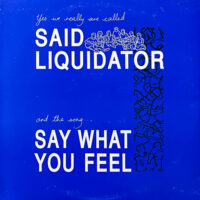 SAID LIQUIDATOR / SAY WHAT YOU FEEL / 12" /