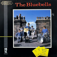 THE BLUEBELLS / THE BLUEBELLS / 12" /