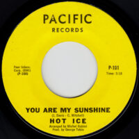 HOT ICE / YOU ARE MY SUNSHINE / I'LL BE YOUR EVERYTHING / 7" /