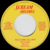 BILLY BYRD / LOST IN THE CROWD / SILLY KIND OF LOVE / 7" /