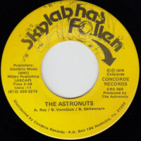 THE ASTRONUTS / SKYLAB HAS FALLEN / 7" /