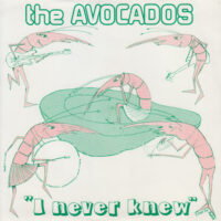 THE AVOCADOS / I NEVER KNEW / 7" /
