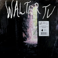 WALTER TV / BLESSED / LP /