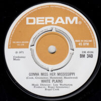 WHITE PLAINS / GONNA MISS HER MISSISSIPPI / I'LL GO BLIND / 7" /