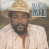 MARVIN GAYE / SANCTIFIED LADY / 7" /