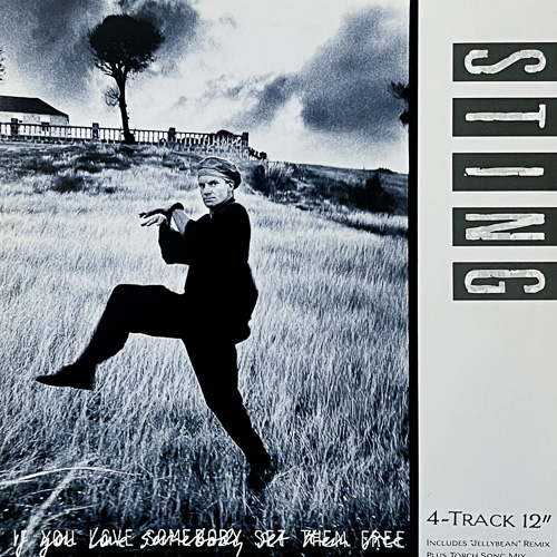 STING / IF YOU LOVE SOMEBODY SET THEM FREE / 12" / 1 STING / IF YOU LOVE SOMEBODY SET THEM FREE / 12" /