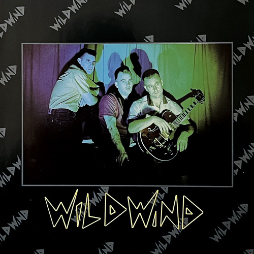 WILDWIND / WILDWIND / LP / 1 WILDWIND / WILDWIND / LP /