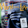 HOME 2 REGGAE DISCO ROCKERS / WORLD NEEDS LOVE / 12″ /