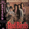 赤い鳥 THE RED BIRDS / WHAT A BEAUTIFUL WORLD / LP /