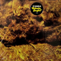 D'ANGELO / BROWN SUGAR / 12" /