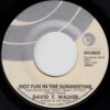 DAVID T. WALKER / HOT FUN IN THE SUMMERTIME / I WANT TO TALK TO YOU / 7" /