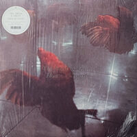 THE FRESH & ONLYS / HOUSE OF SPIRITS / LP /