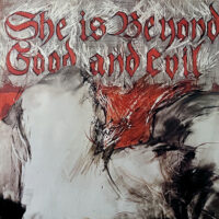 THE POP GROUP / SHE IS BEYOND GOOD AND EVIL / 3'38 / 12" /