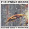 THE STONE ROSES / FOOLS GOLD 4.15 / WHAT THE WORLD IS WAITING FOR / 7" /