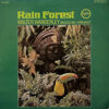 WALTER WANDERLEY / RAIN FOREST / LP /