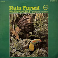 WALTER WANDERLEY / RAIN FOREST / LP /