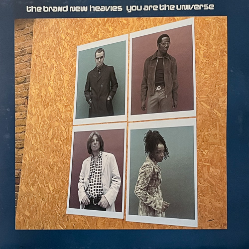THE BRAND NEW HEAVIES / YOU ARE THE UNIVERSE / 12" / 1 THE BRAND NEW HEAVIES / YOU ARE THE UNIVERSE / 12" /