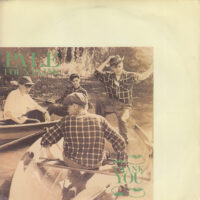 THE PALE FOUNTAINS / THANK YOU / 7" /