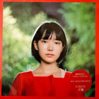 V.A. / 銀杏BOYZ トリビュートアルバム きれいなひとりぼっちたち / LP + 7" /